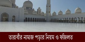 তারাবীর নামাজ পড়ার নিয়ম