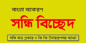 সন্ধি কাকে বলে