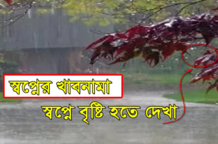 স্বপ্নে বৃষ্টি