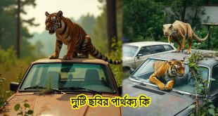 বিপদের সময় কী করতে হবে?