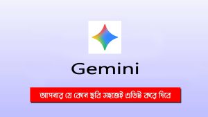 Google এর Gemini