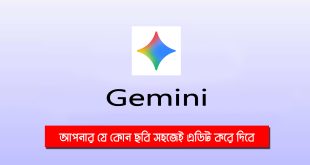 Google এর Gemini