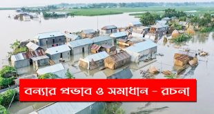 বন্যার প্রভাব ও সমাধান