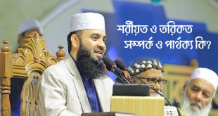 শরীয়ত ও তরিকতের মৌলিক পার্থক্য এবং সম্পর্ক