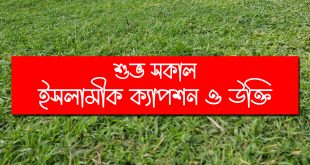 শুভ সকাল নিয়ে ইসলামিক ক্যাপশন