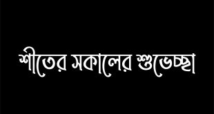 শীতের সকাল