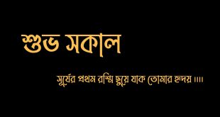শুভ সকাল নিয়ে স্ট্যাটাস