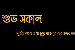 শুভ সকাল নিয়ে স্ট্যাটাস